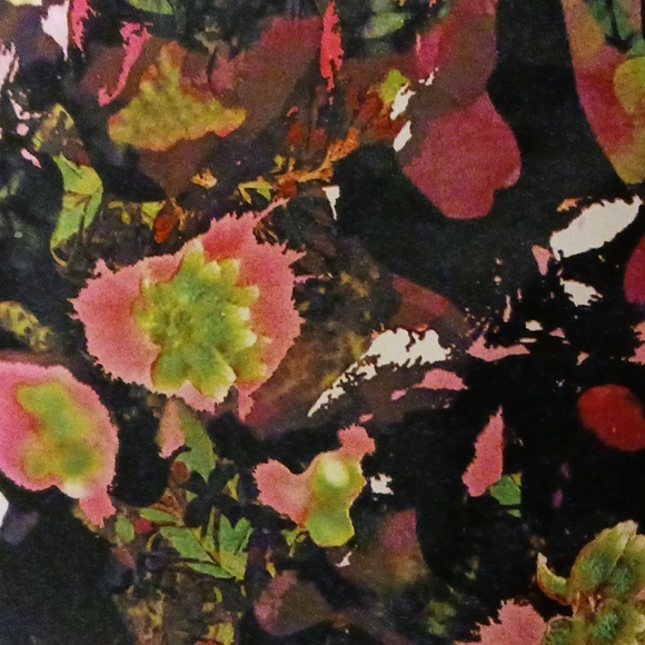 Labelle Roc top - Picture 2 of 4